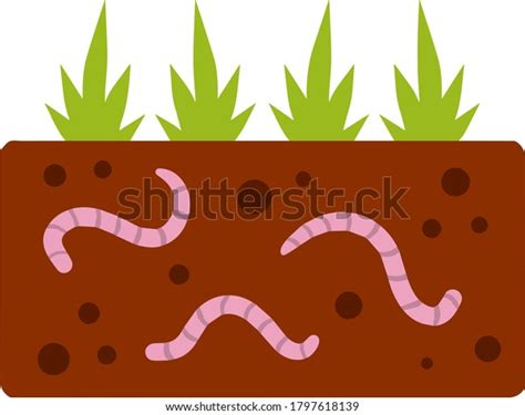 Worms Under Ground Insects Soil Images Stock Photos D Objects