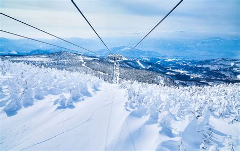 Monstres De Neige De Zao Miyagi Travel Japan Office National Du