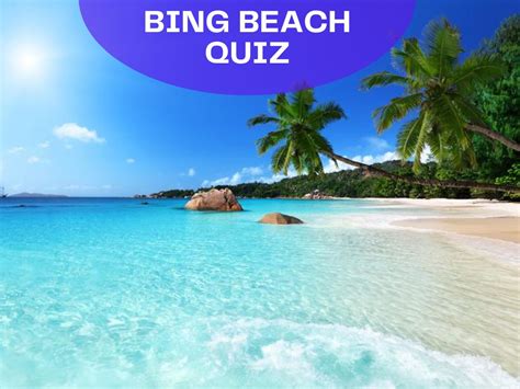 Bing Beach Quiz Test Your Knowledge On Bing Quiz