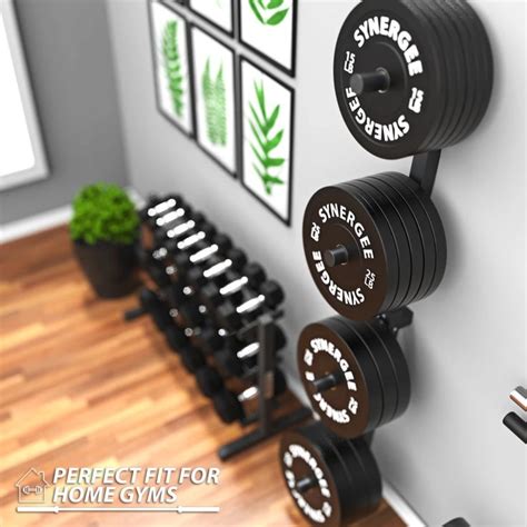 Wall mounted weight plate storage uk. Synergee Weight Plate Wall Storage Rack in 2020 | Plates ...