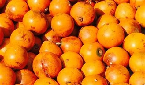 health benefits of african star apple agbalumo nutrition digests