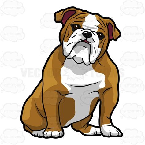 English Bulldog Sitting With Its Head Tilted To The Right 1 Bulldog