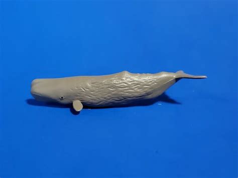 Safari Toob 100072 Sperm Whale Toy Animal Wiki