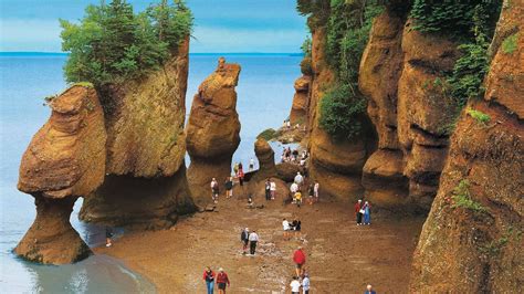 See More Of Fundy National Park The Globe And Mail