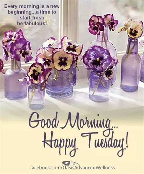 Good Morning Happy Tuesday Every Morning Is A New Beginning Good