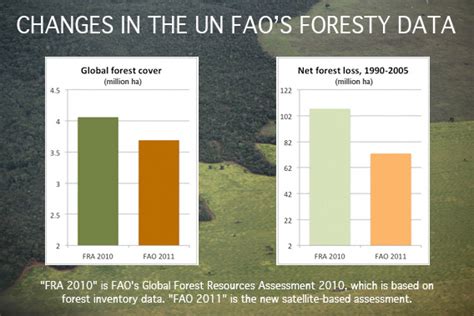 Global Forest Cover Lower Than Previously Estimated Says Un