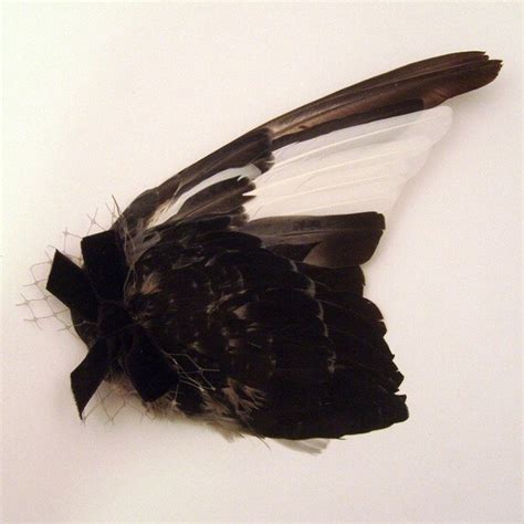 Loved To Death Taxidermy Gothic Victorian Memento By Lovedtodeath