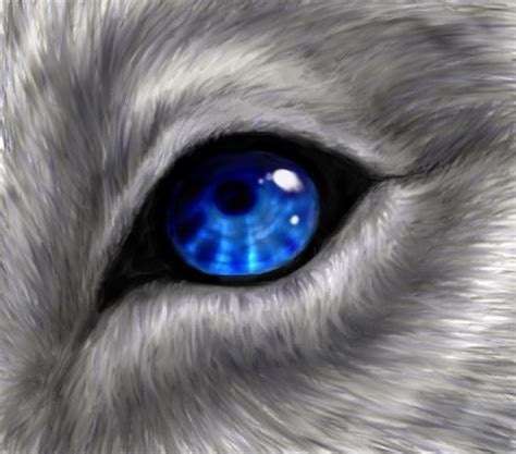 Blue Wolf Eye By Whitek9 On Deviantart