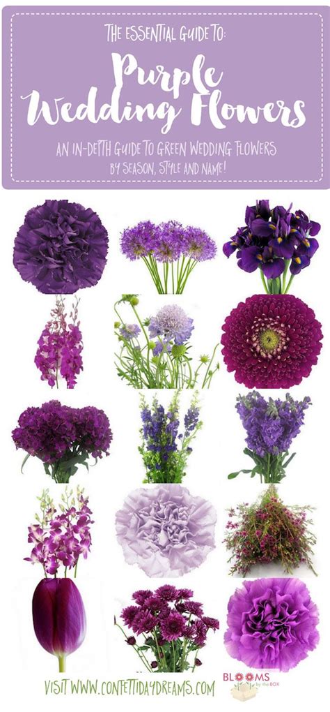 We did not find results for: The 25+ best Purple flower names ideas on Pinterest ...