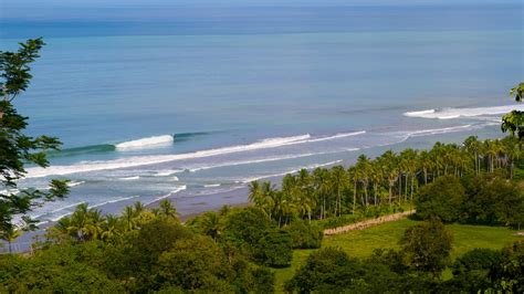 The Only Article You Need To Read About Dominical Costa Rica