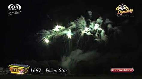 1692 Fallen Star Dynasty Collection Wolff Vuurwerk Vuurwerkland