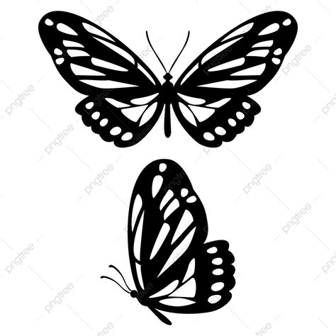 Butterflies Silhouette Png Images Butterfly Silhouette Vector