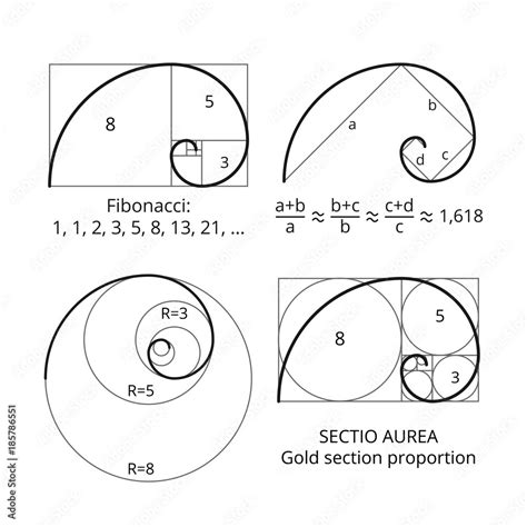 Golden Fibonacci Ratio Spirals Gold Section Proportion Vector