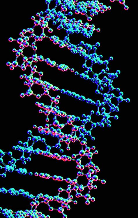 Dna Double Helix Structure Photograph By Alfred Pasiekascience Photo
