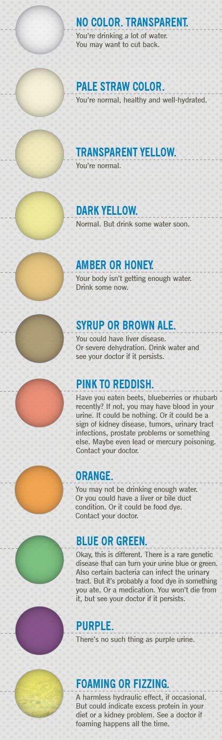 What Does It Mean When Your Urine Is Dark Color The Meaning Of Color