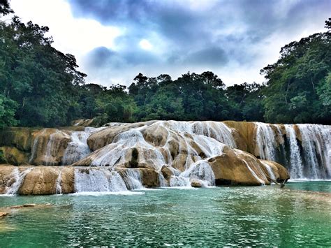 Misol Ha Agua Azul Waterfalls And Palenque Ruins A Day Trip From San