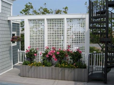 31 Simple And Cheap Privacy Fence Ideas Privacy
