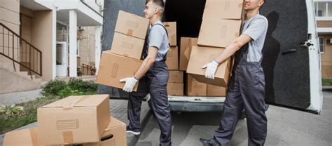 Reasons Why You Need To Hire A Professional Mover