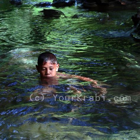 Krabi Rainforest Tour Hot Springs Emerald Pool Tiger Cave Temple Your Krabi