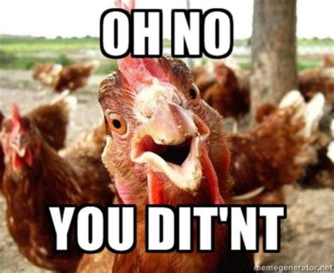 need a good laugh check out this really funny chicken meme collection that s guaranteed to make