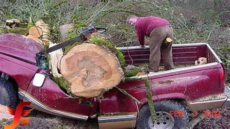 Top 5 New Funniest Tree Cutting Fails 5 Most Hilarious Tree Cutting