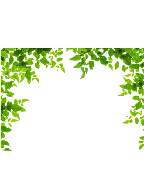 Download And Leaf Leaves Green Frames Borders Border Clipart Png Free