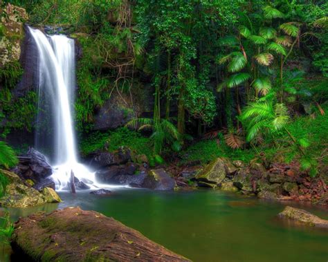 This application will look great on the screen of your android phone. Wonderful Tropical Waterfall In Jungle Green Vegetation Rocks Full Hd Wallpapers : Wallpapers13.com