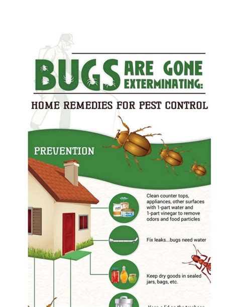 23 Do It Yourself Pest Control Tips