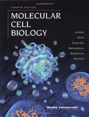 Molecular Cell Biology Harvey Lodish Arnold Berk Lawrence Zipursky Paul Matsudaira David