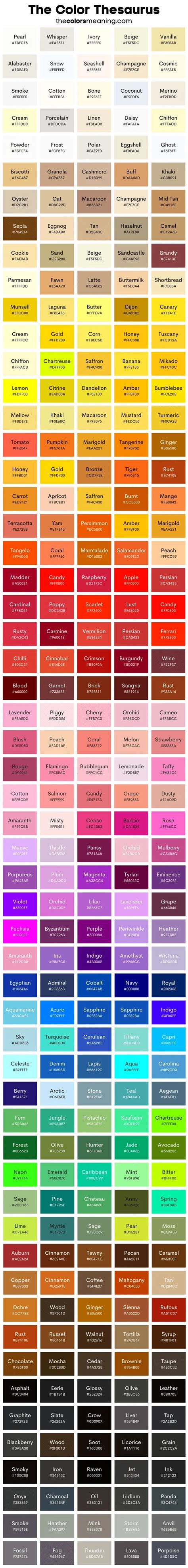 Unique Color Names Colorful Name Infographic