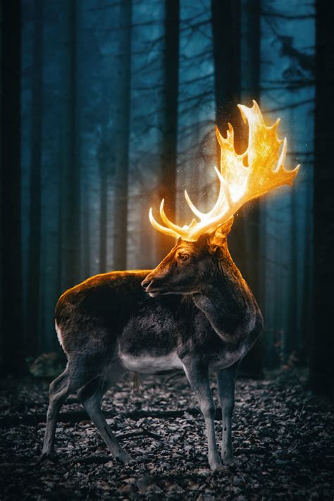 640x960 Magical Reindeer Forest 5k Iphone 4 Iphone 4s Hd 4k Wallpapers