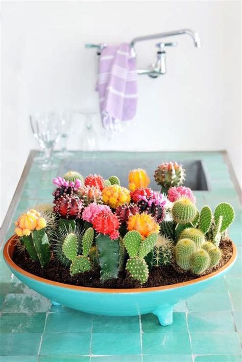 Decorating Colorful Cactus In Kitchen Decor 20 Simple Cactus Ideas