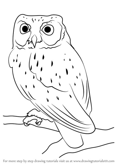 Easy step by step tutorial on how to draw an owl, pause the video at every step to follow the steps carefully. Learn How to Draw a Western Screech Owl (Owls) Step by ...