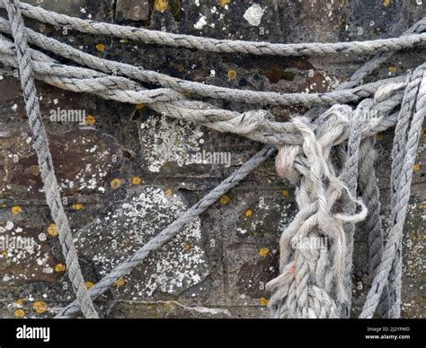 Old Rope Ropes Hanging On Stone Wall Stock Photo Alamy