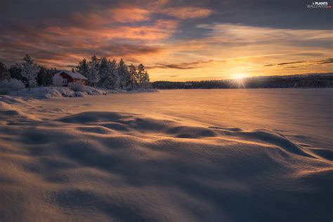 Winter House Great Sunsets Trees Lake Ringerike Norway Viewes