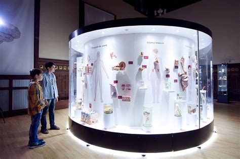 Inowize: Interactive Exhibition Design| Natural History Musem