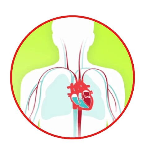 Can kidney failure lead to congestive heart failure as we all know, the kidney is a most important organ of the human body, and if the kidney is damaged, it can cause a lot of the symptoms. End Stage Renal Disease - Chronic Kidney Disease