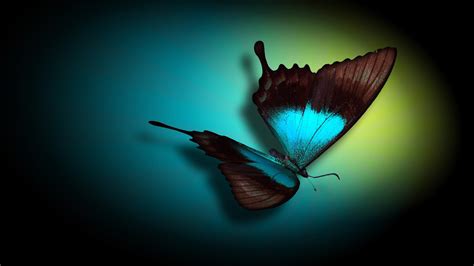Blue Butterfly Wallpaper Background 63 Images