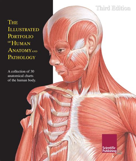 The bartleby.com edition of gray's anatomy of the human body features 1,247 vibrant. The Illustrated Portfolio of Human Anatomy and Pathology ...