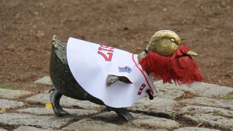 Images Boston Ducklings Sport Beards For Sox