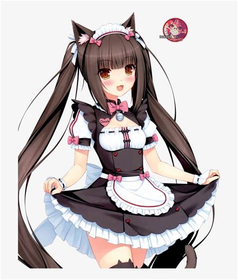 Anime Anime Maid Anime Girl Anime Cat Girl Chocola Neko Girl Free