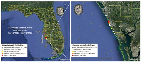 Red Tide Blooms Have Been Detected Offshore Of Sarasota County State