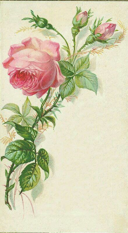 360 Vintage Rose Prints Ideas Vintage Flowers Vintage Roses Flower Art