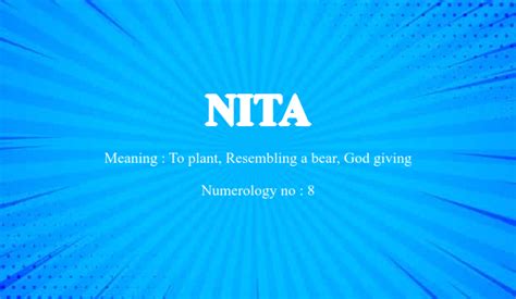 Nita Name Meaning