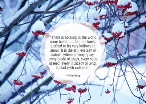 25 Beautiful Quotes About Snow Snow Quotes Winter Quotes Beautiful