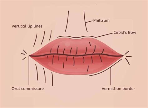 Lip Lines Treatment Options At Castleknock Cosmetic Clinic