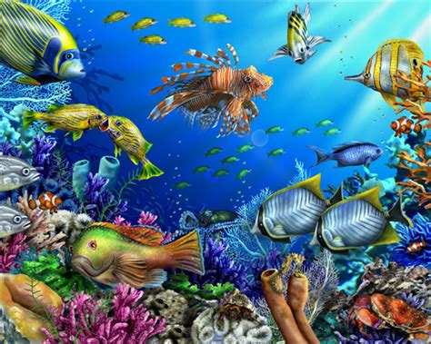 The photos shown show examples of previous paintings. Coral Reef paintings