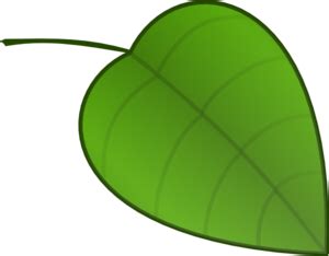 Leaf Clip Art At Clker Com Vector Clip Art Online Royalty Free