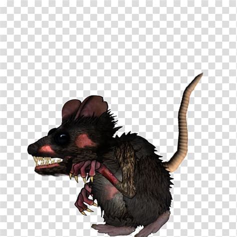 Evil Rats Clip Art Library