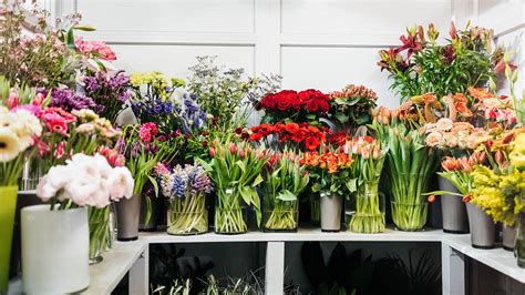 Jun 21, 2018 · flowers are a beautiful addition to any setting, but the colorful blooms tend to only last for a few days or a week. Fresh-cut flowers in Georgia | Georgia Grown Horticulture